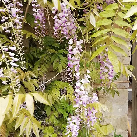 La Cour Souveraine - D'hôtes La Péninsule Casa de hóspedes 3*