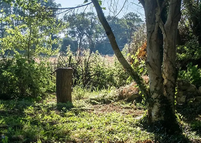 La Cour Souveraine - D'hotes La Peninsule