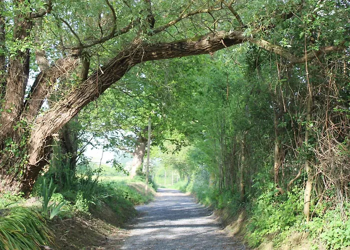 La Cour Souveraine - D'hôtes La Péninsule Maison d'hôtes