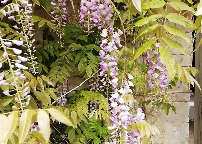 La Cour Souveraine - D'hotes La Peninsule Gæstehus 3*